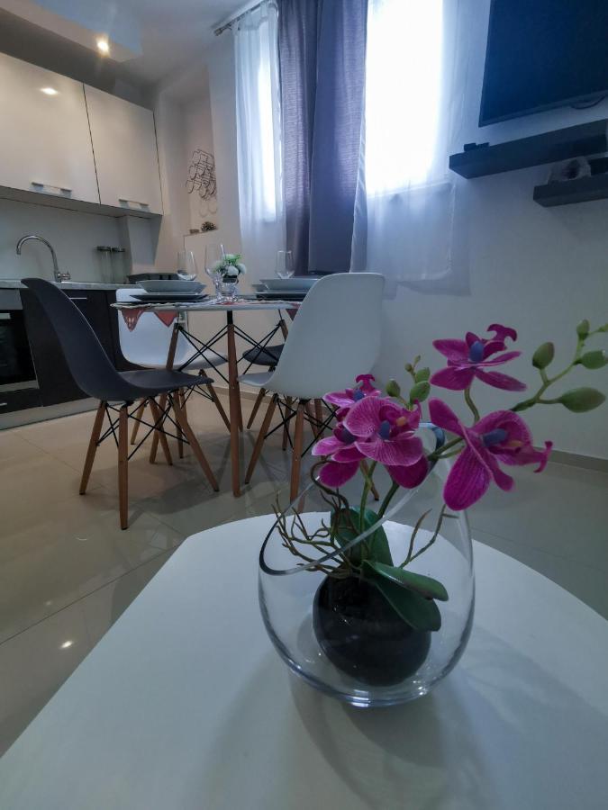 Apartment P&m